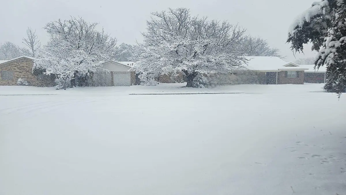 La séptima tormenta invernal está pasando por Texas y así lucen sus paisajes :Tania López 